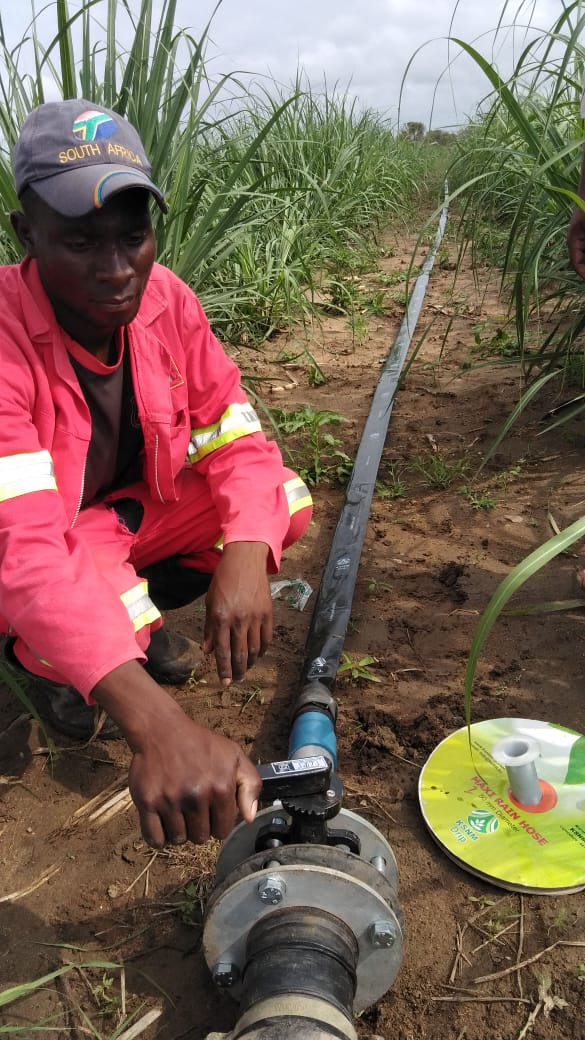 Drip Irrigation System