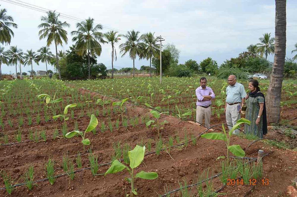 Drip Irrigation System