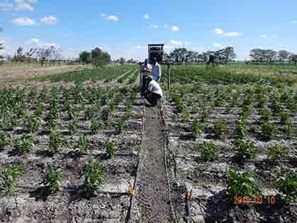 Drip Irrigation System