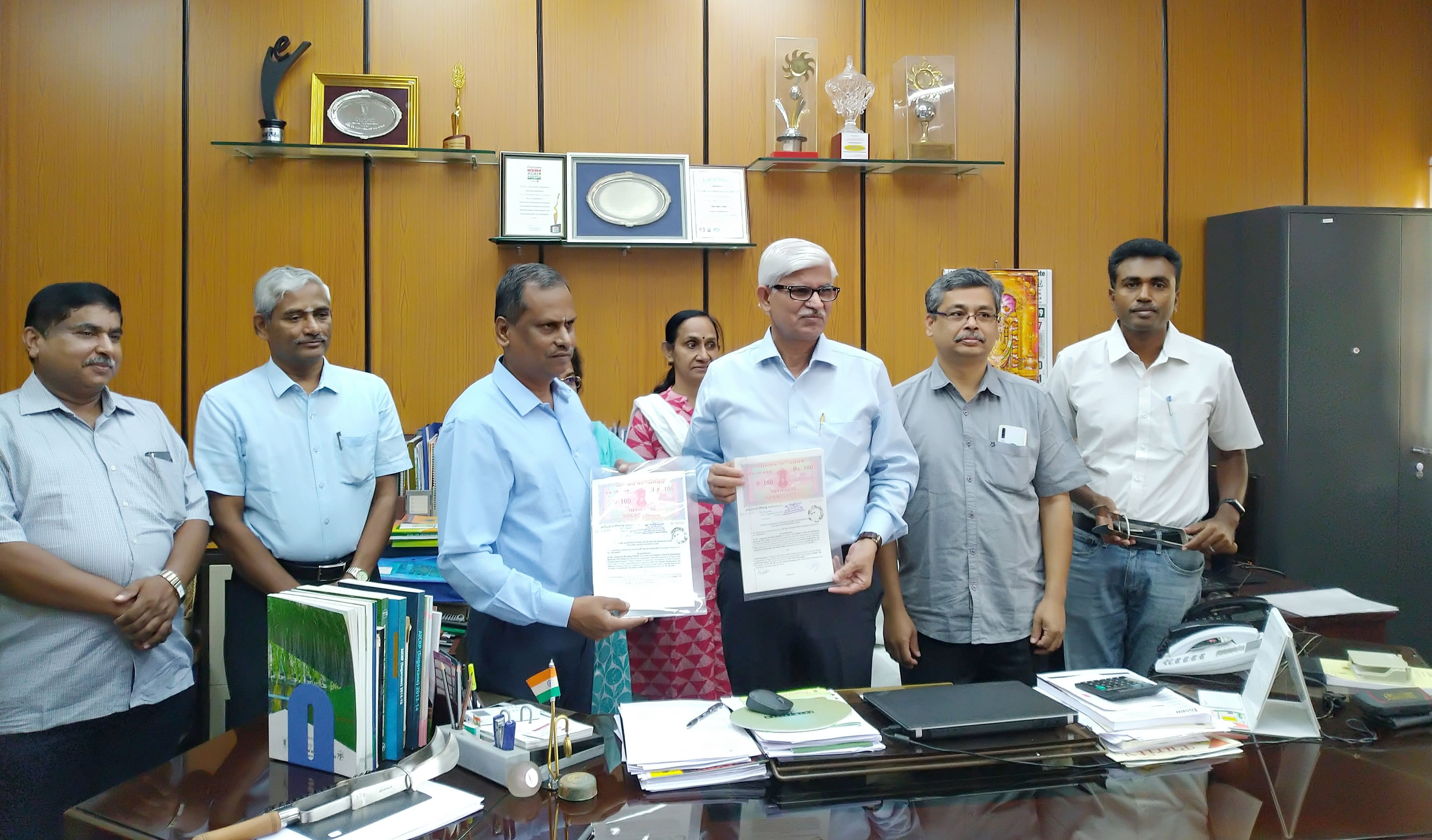 Drip Irrigation System