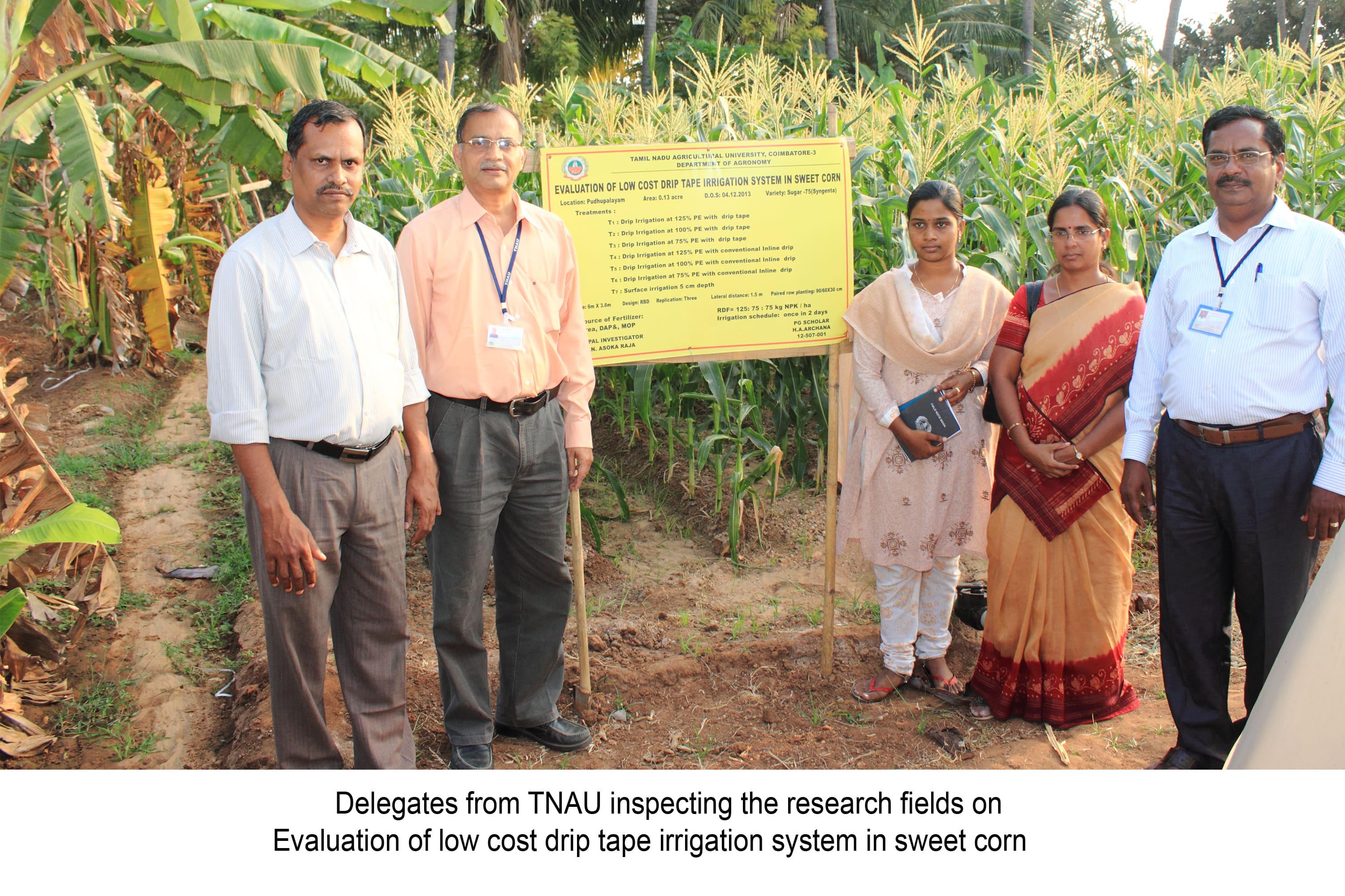 Drip Irrigation System