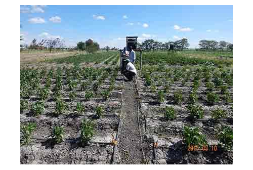 DRIP KIT installed at Latia Centre, Kenya