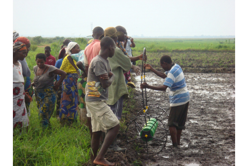Direct Paddy Seeder Demo by IFDC in Brundi