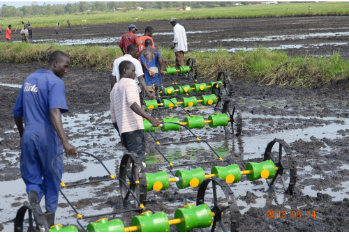 Uganda - Tilda Farm - Drum Seeder Demo.
