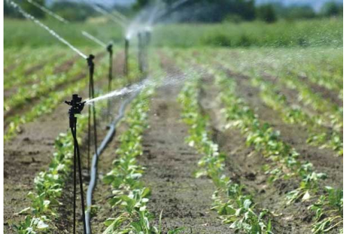spray irrigation