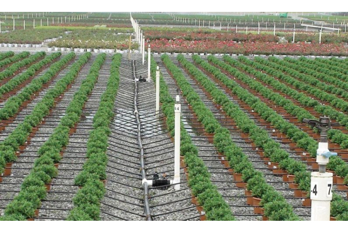 benifits of drip irrigation