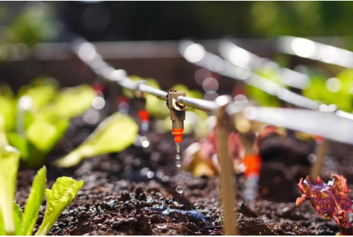 drip irrigation systems