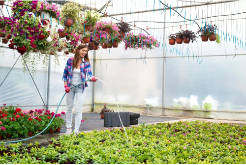 green house drip irrigation