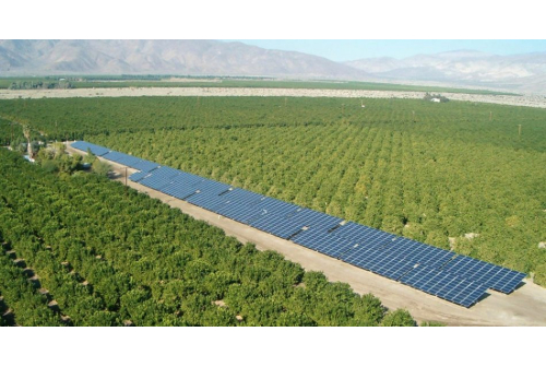 solar power drip irrigation