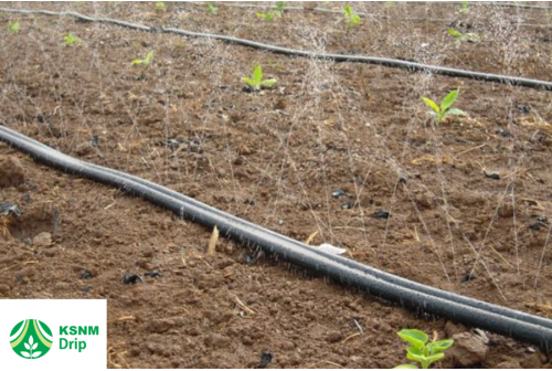 Rain Hose Irrigation