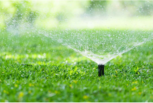  A Successful Spray Irrigation System