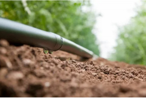 Best Irrigation System 