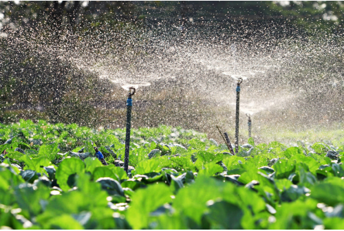 Sprinkler irrigation