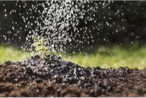 Sprinkler irrigation