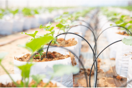 Drip Irrigation Latest Trends and Technologies