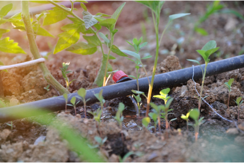 clogging and pressure loss