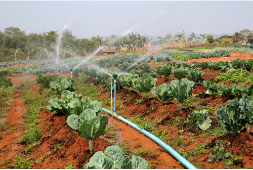 drip irrigation market